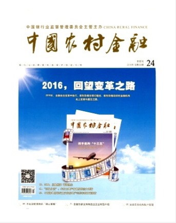 中国农村金融