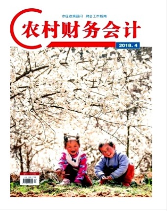 农村财务会计
