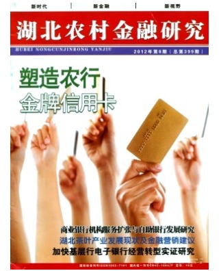 湖北农村金融研究