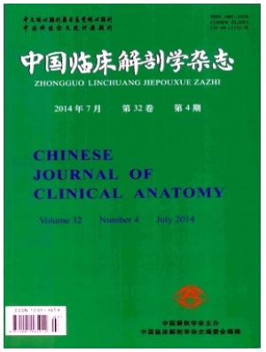 中国临床解剖学