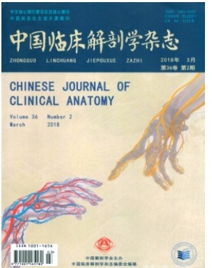 中国临床解剖学