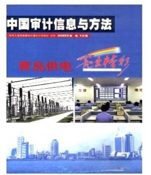 中国审计信息与方法