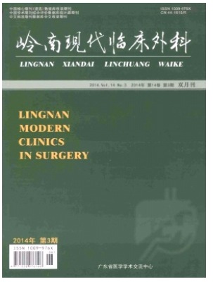 岭南现代临床外科