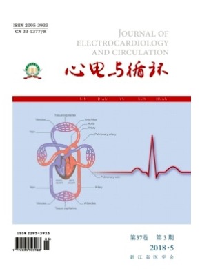 心电与循环