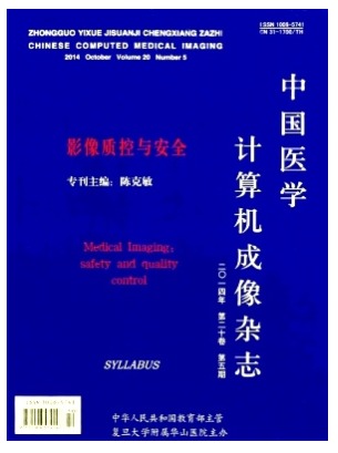 中国医学计算机成像