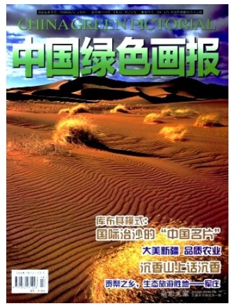 中国绿色画报