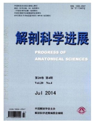 解剖科学进展