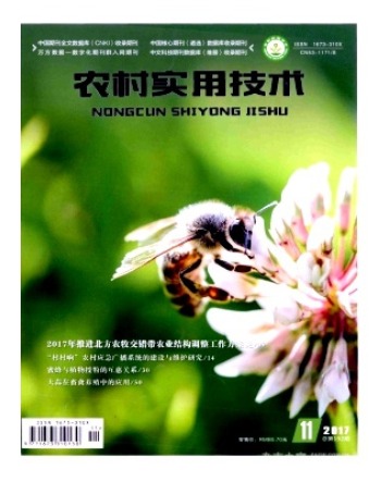 农村实用技术