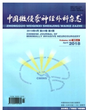 中国微侵袭神经外科