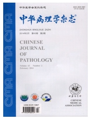 中华病理学