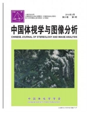 中国体视学与图像分析