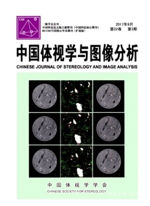 中国体视学与图像分析