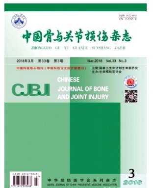 中国骨与关节损伤