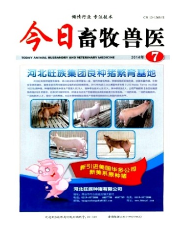 今日畜牧兽医