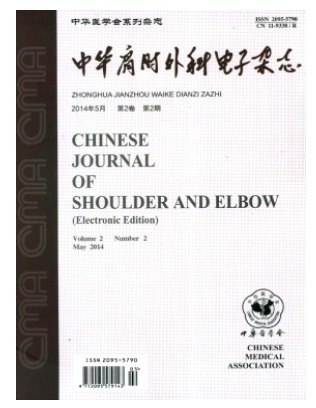 中华肩肘外科电子
