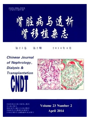 肾脏病与透析肾移植