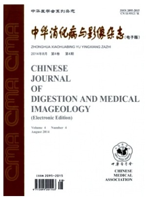 中华消化病与影像