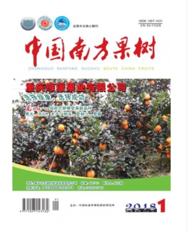 中国南方果树