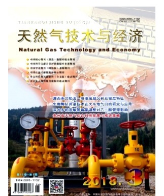 天然气技术与经济