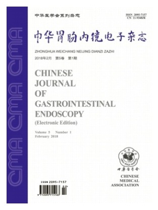 中华胃肠内镜电子