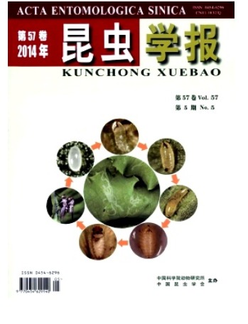 昆虫学报