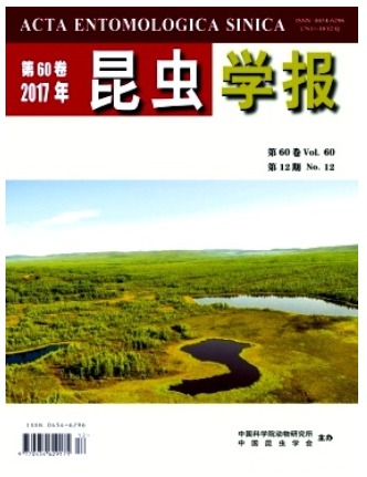 昆虫学报
