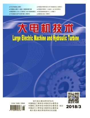 大电机技术