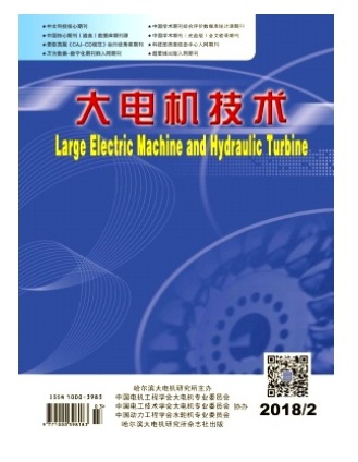 大电机技术