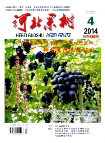 河北果树