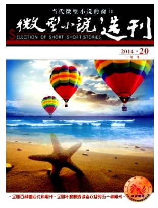 微型小说选刊
