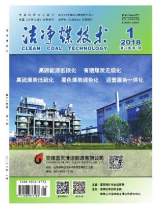 洁净煤技术