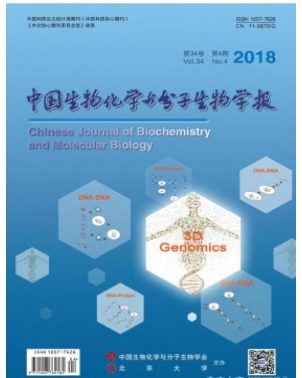 中国生物化学与分子生物学报