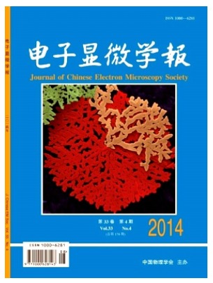 电子显微学报
