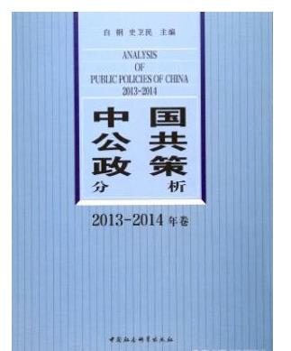中国公共政策分析