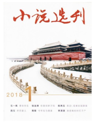 小说选刊