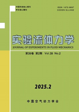 实验流体力学