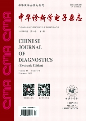 中华诊断学电子