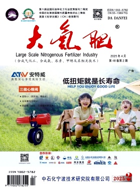 大氮肥