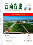 云南农业