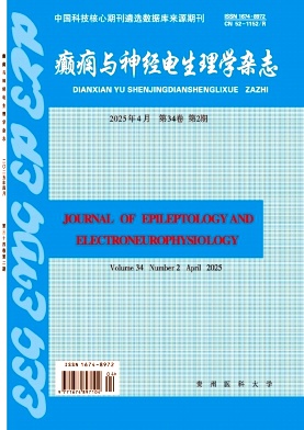 癫癎与神经电生理学