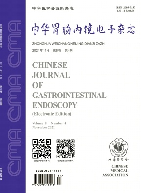 中华胃肠内镜电子
