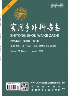 实用手外科