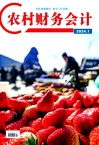 农村财务会计