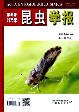 昆虫学报