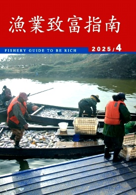 渔业致富指南