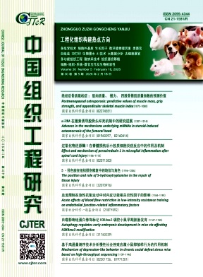 中国组织工程研究