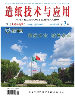 造纸技术与应用